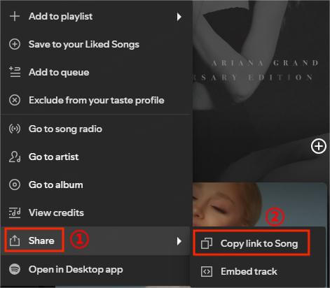 spotify to mp3 copy link
